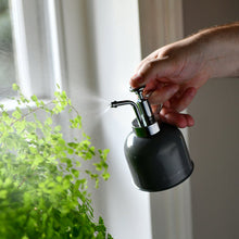 Load image into Gallery viewer, Indoor plant mister

