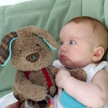 Load image into Gallery viewer, Percy pup activity toy
