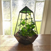 Load image into Gallery viewer, The Thomas - handmade stained glass terrarium
