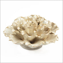 Load image into Gallery viewer, Coral 6 - large - sea lettuce - pearl
