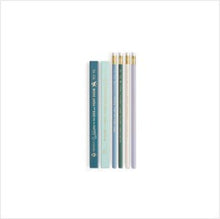 Load image into Gallery viewer, Workplace shenanigans pencil set
