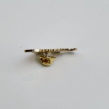 Load image into Gallery viewer, Dinosaur enamel pin
