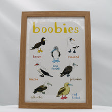 Load image into Gallery viewer, Boobies A4 print
