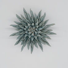 Load image into Gallery viewer, Coral 6 - large flower blue
