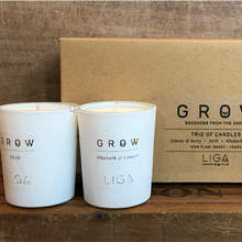 Load image into Gallery viewer, Grow candle trio
