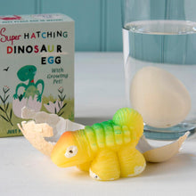 Load image into Gallery viewer, Hatch your own dinosaur egg
