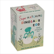 Load image into Gallery viewer, Hatch your own dinosaur egg

