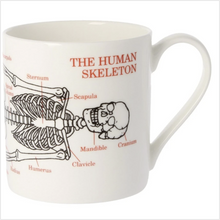 Load image into Gallery viewer, Human skeleton large mug
