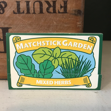 Load image into Gallery viewer, Matchstick garden - mixed herbs
