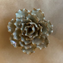 Load image into Gallery viewer, Coral 6 - small - rose grey
