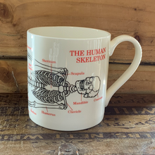 Load image into Gallery viewer, Human skeleton large mug
