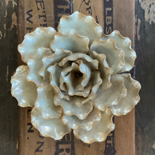 Load image into Gallery viewer, Coral 6 - large - sea lettuce - pearl
